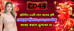 রেড প্যাকেট রেইন! দিনে ১২ বার পুরস্কার!