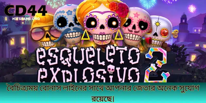 বৈচিত্র্যময় বোনাস লাইনের সাথে আপনার জেতার অনেক সুযোগ রয়েছে।