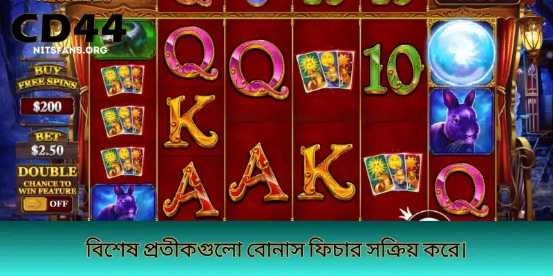 বিশেষ প্রতীকগুলো বোনাস ফিচার সক্রিয় করে।
