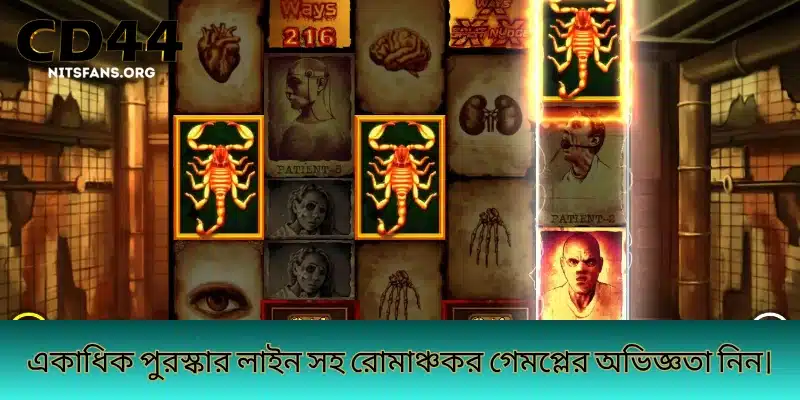 একাধিক পুরস্কার লাইন সহ রোমাঞ্চকর গেমপ্লের অভিজ্ঞতা নিন।
