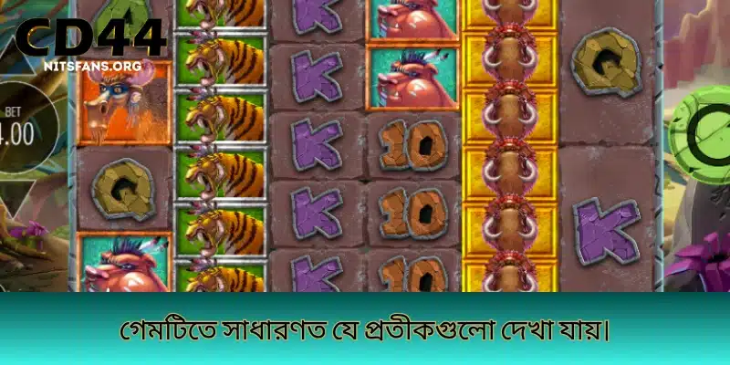 গেমটিতে সাধারণত যে প্রতীকগুলো দেখা যায়।
